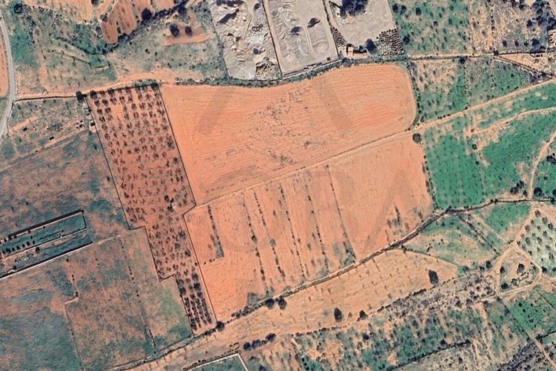 Parcela Rústica en Paraje El Toledano - La Magdalena
